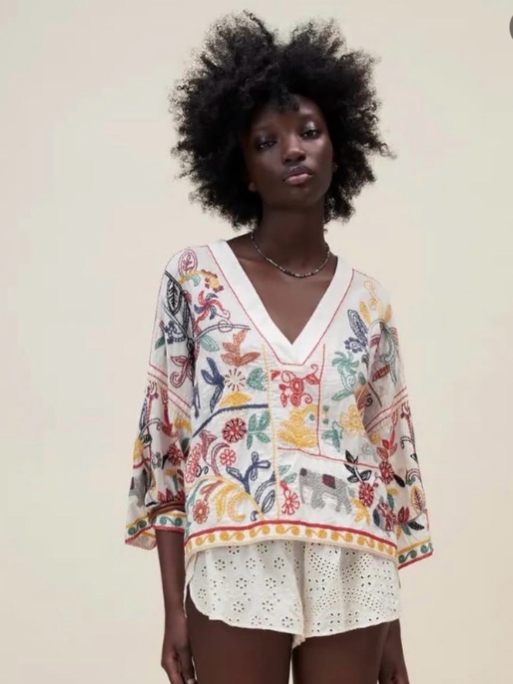 Zara Embroidered V-Neck Boho Top in White with Multicolor Motifs